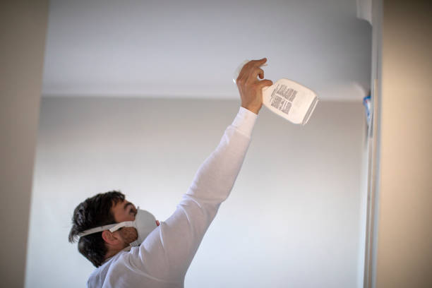Best Toxic Mold Removal  in Fredonia, KS