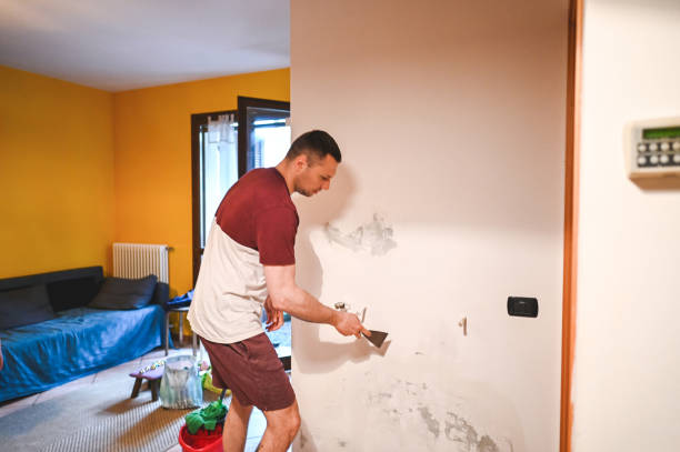 Mold Testing and Removal in Fredonia, KS