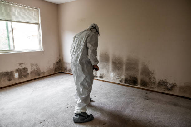 Best Crawl Space Mold Removal  in Fredonia, KS