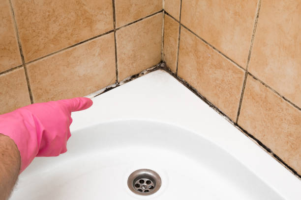 Best Water Damage Restoration  in Fredonia, KS